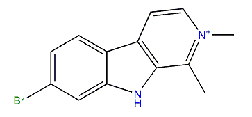 Irenecarboline B